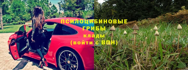 сатива Балахна