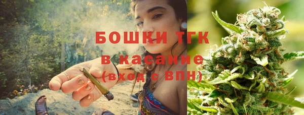 сатива Балахна